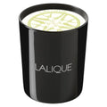 Lalique, Osmanthus Himalaya Nepal, Duftblüte, Duftkerze, 190 g - Beautyleader