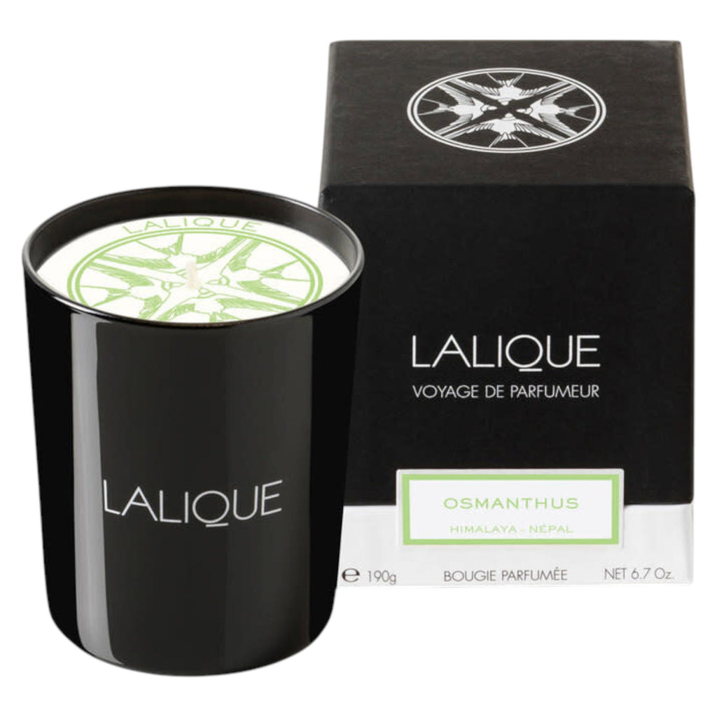 Lalique, Osmanthus Himalaya Nepal, Duftblüte, Duftkerze, 190 g - Beautyleader
