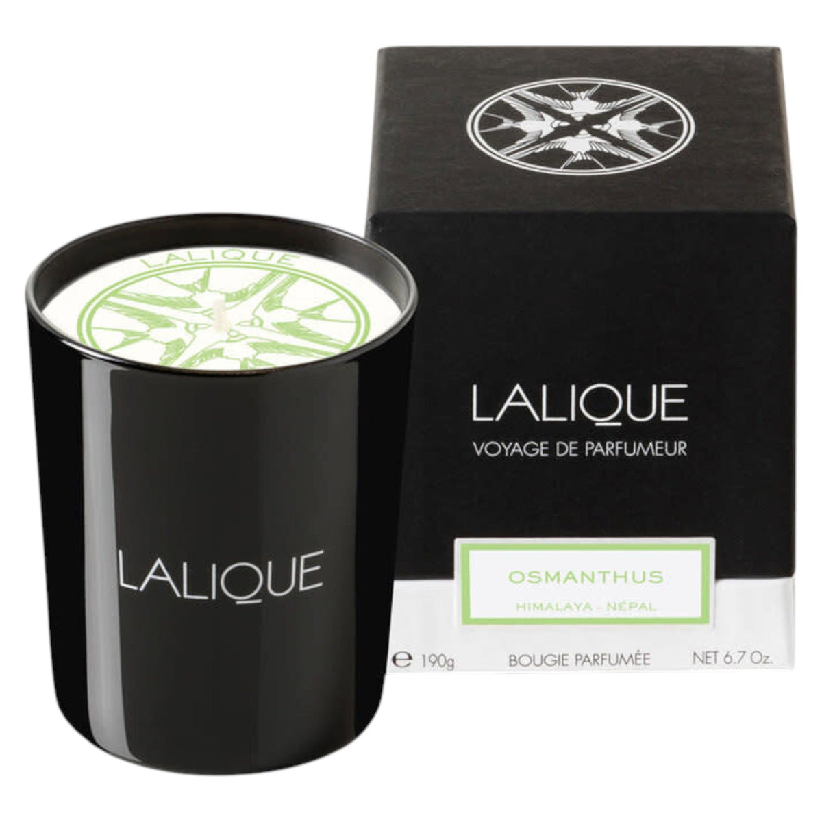 Lalique, Osmanthus Himalaya Nepal, Duftblüte, Duftkerze, 190 g - Beautyleader